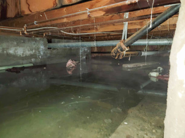 Trusted Redan, GA Water damage restoration Experts