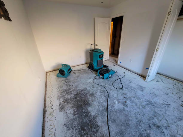 Best Water damage restoration company  in Redan, GA