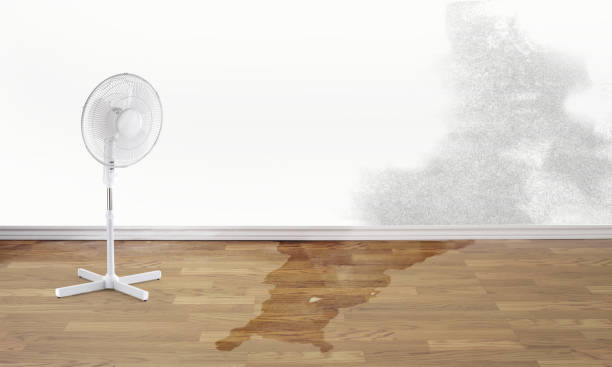 Best Ceiling water damage repair  in Redan, GA