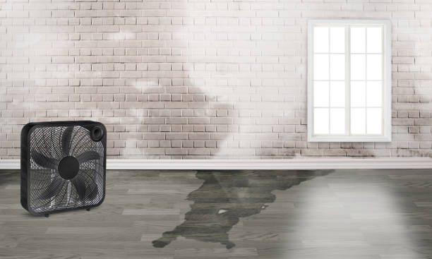  Redan, GA Water damage restoration Pros