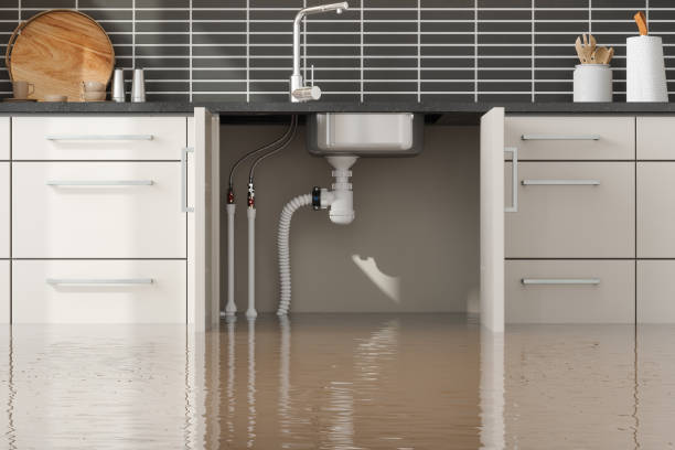 Best Local water damage restoration  in Redan, GA