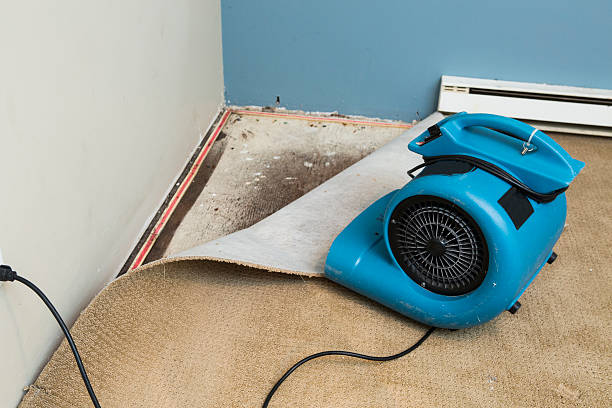 Best Basement water damage restoration  in Redan, GA